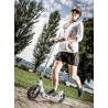 Trottinette Micro Flex Air