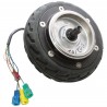 Moteur-roue pour Egret One